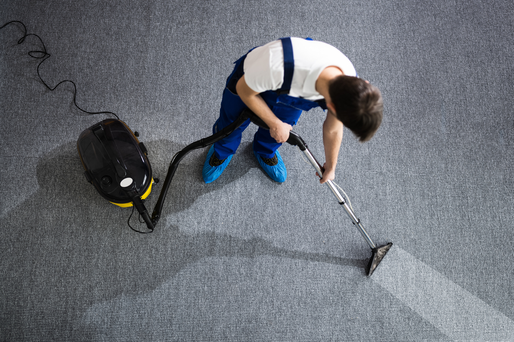 The Complete Guide to Marketing for Carpet Cleaners in 2024